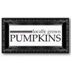 Locally Grown Pumpkins Stencil