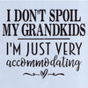 I Don't Spoil My Grandkids Stencil