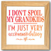 I Don't Spoil My Grandkids Stencil