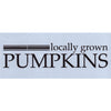 Locally Grown Pumpkins Stencil