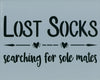 Lost Socks