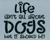Life Isn't All About Dogs