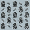 Pine Cone Background