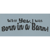 Why Yes, I Was Born in a Barn Stencil By Sharon Cook