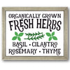 Organically Grown Fresh Herbs Stencil