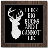 I Like Big Bucks Stencil