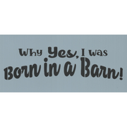 Why Yes, I Was Born in a Barn Stencil By Sharon Cook