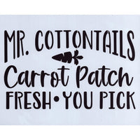 Mr. Cottontails Carrot Patch Stencil